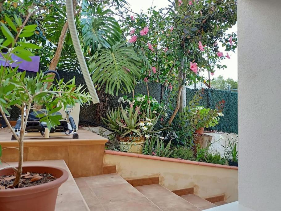 Villa Falconera Apartaments, Gandia A Las Faldas De La Montana Gandía Exterior foto
