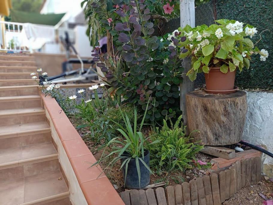 Villa Falconera Apartaments, Gandia A Las Faldas De La Montana Gandía Exterior foto