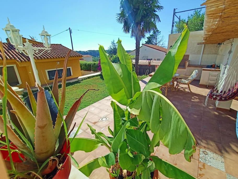 Villa Falconera Apartaments, Gandia A Las Faldas De La Montana Gandía Exterior foto