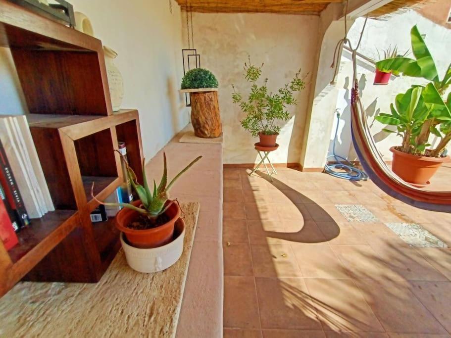 Villa Falconera Apartaments, Gandia A Las Faldas De La Montana Gandía Exterior foto